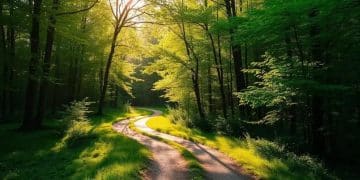 The key to navigating change with confidence